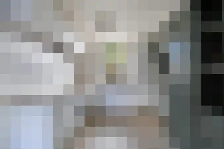 Tjerk Hiddes de Vriesstraat 30 Harlingen thumbnail 18