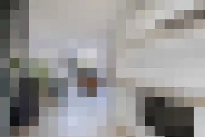 Tjerk Hiddes de Vriesstraat 30 Harlingen thumbnail 20