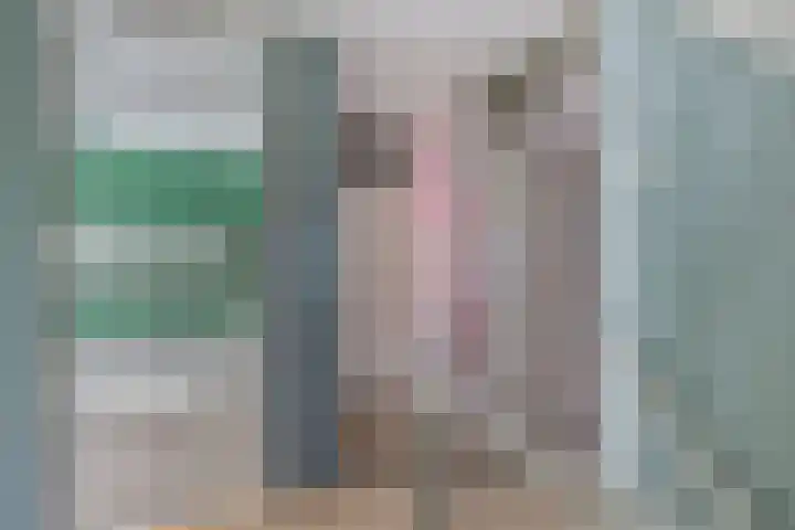 Tjerk Hiddes de Vriesstraat 30 Harlingen thumbnail 23