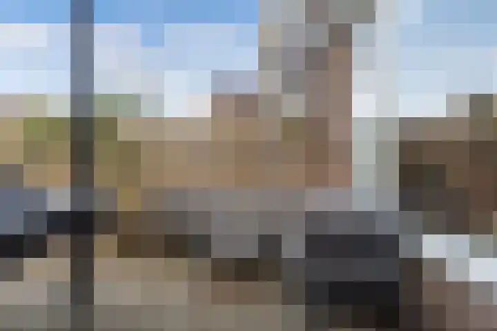 Tjerk Hiddes de Vriesstraat 30 Harlingen thumbnail 37