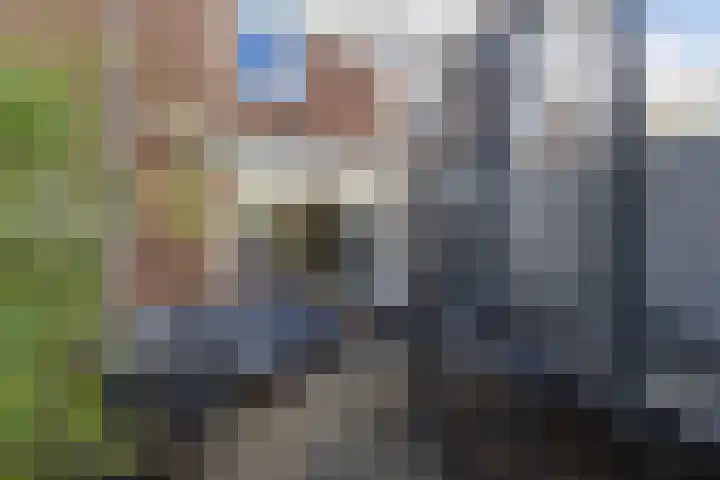 Tjerk Hiddes de Vriesstraat 30 Harlingen thumbnail 40