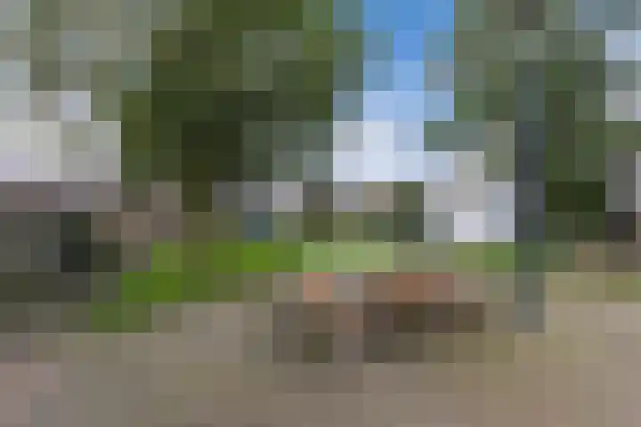 Tjerk Hiddes de Vriesstraat 30 Harlingen thumbnail 42