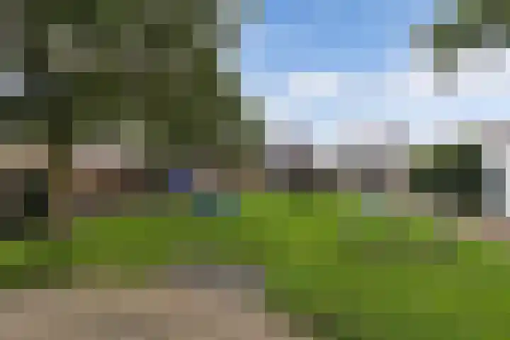 Tjerk Hiddes de Vriesstraat 30 Harlingen thumbnail 43