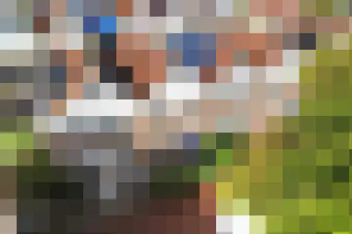 Tjerk Hiddes de Vriesstraat 30 Harlingen thumbnail 5
