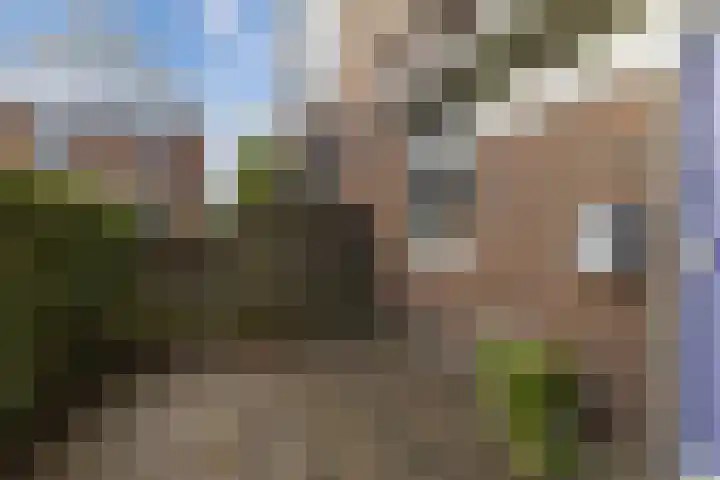 Tjerk Hiddes de Vriesstraat 30 Harlingen thumbnail 7