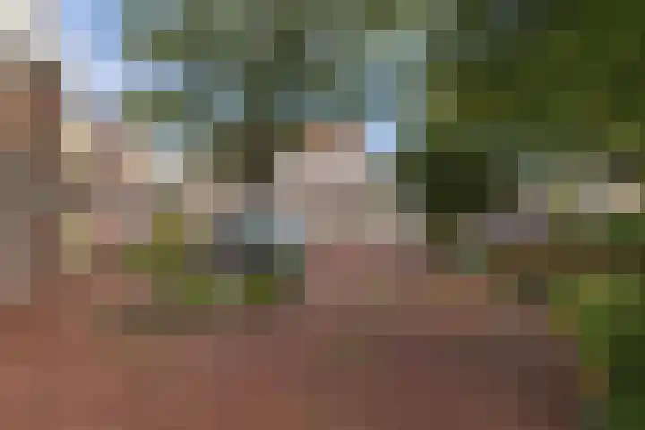 Tjerk Hiddes de Vriesstraat 30 Harlingen thumbnail 8