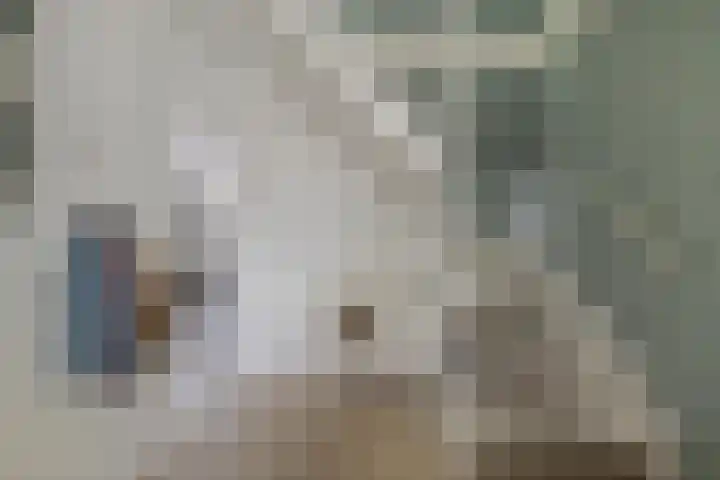 Tjerk Hiddes de Vriesstraat 30 Harlingen thumbnail 9