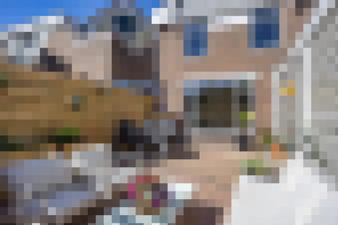 Tjerk Hiddes de Vriesstraat 33 Harlingen thumbnail 18