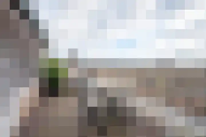 Tjerk Hiddes de Vriesstraat 5 2 Amsterdam thumbnail 24