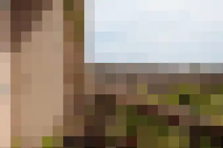 Tjerk Hiddes de Vriesstraat 9 3 Amsterdam thumbnail 6
