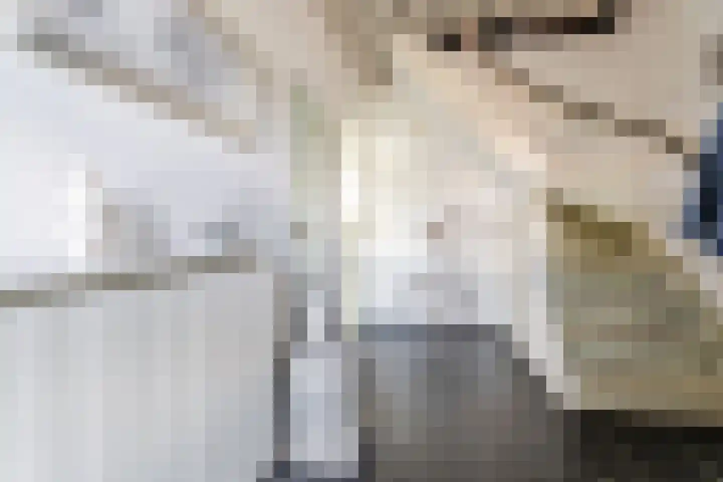 Tjerk Hiddessingel 23 Hendrik-Ido-Ambacht thumbnail 12
