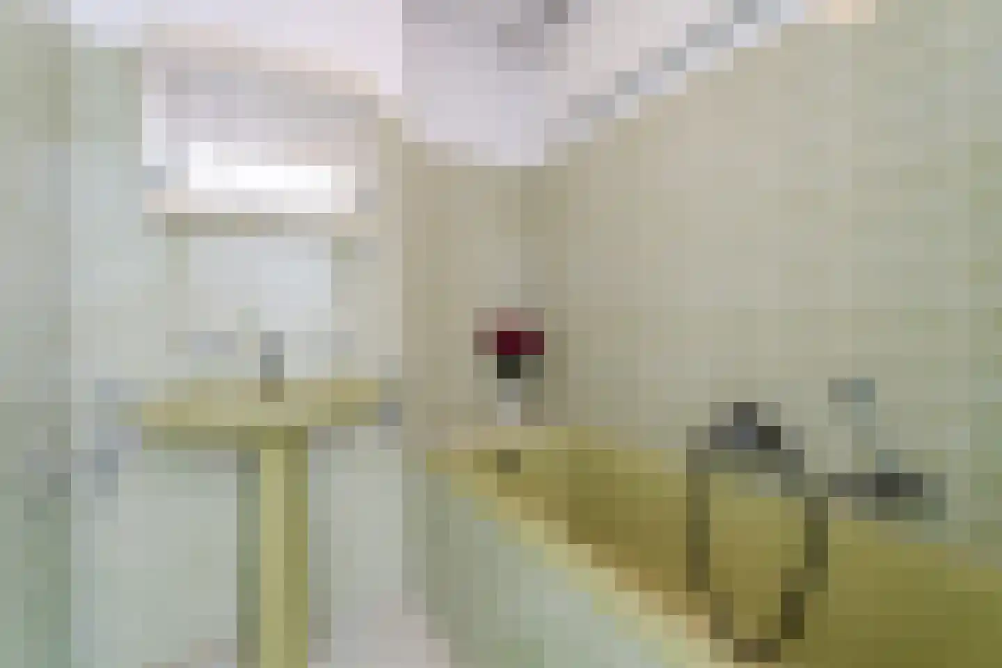 Tjerk Hiddessingel 23 Hendrik-Ido-Ambacht thumbnail 19