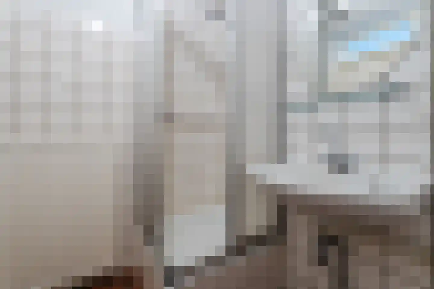 Tjerk Hiddessingel 23 Hendrik-Ido-Ambacht thumbnail 25