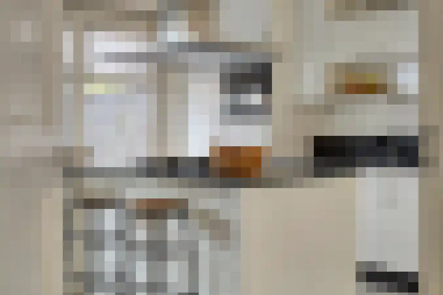 Tjerk Hiddessingel 9 Hendrik-Ido-Ambacht thumbnail 14