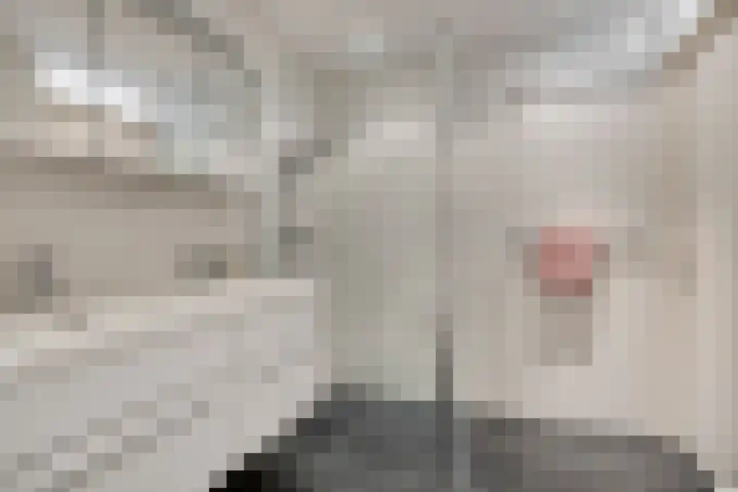 Tjerk Hiddessingel 9 Hendrik-Ido-Ambacht thumbnail 22