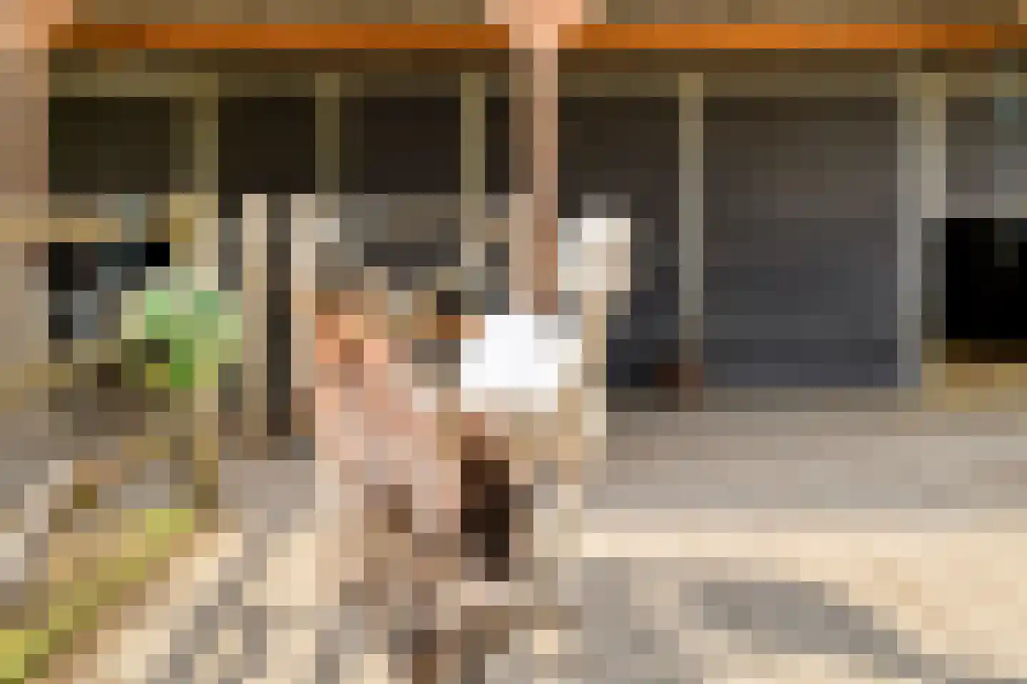 Tjerk Hiddessingel 9 Hendrik-Ido-Ambacht thumbnail 38