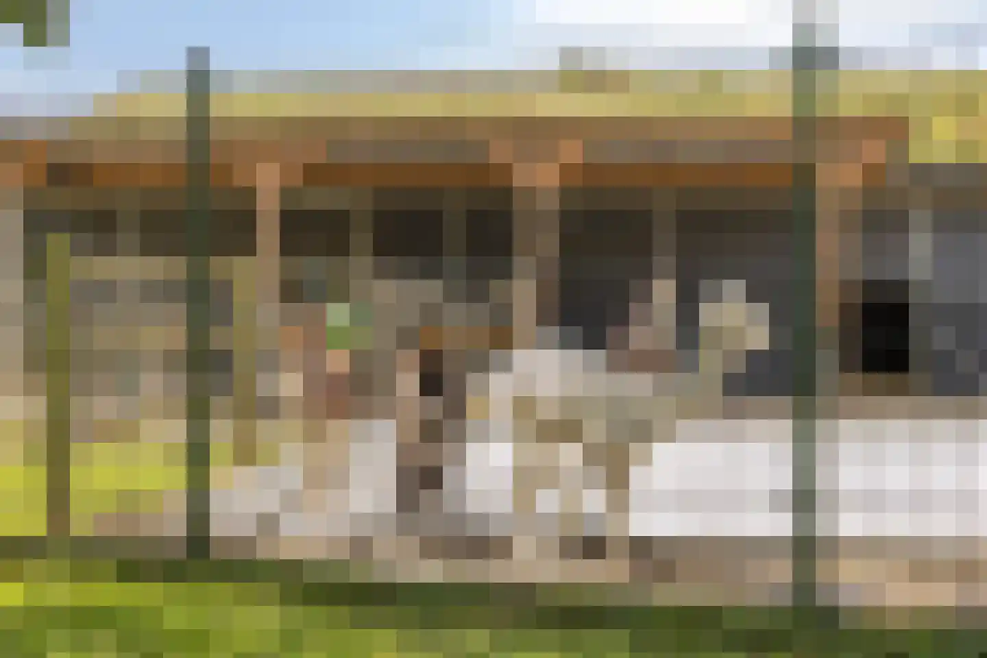 Tjerk Hiddessingel 9 Hendrik-Ido-Ambacht thumbnail 39