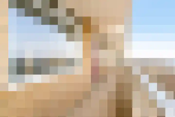 Tjerk Hiddesstraat 111 Zandvoort thumbnail 29