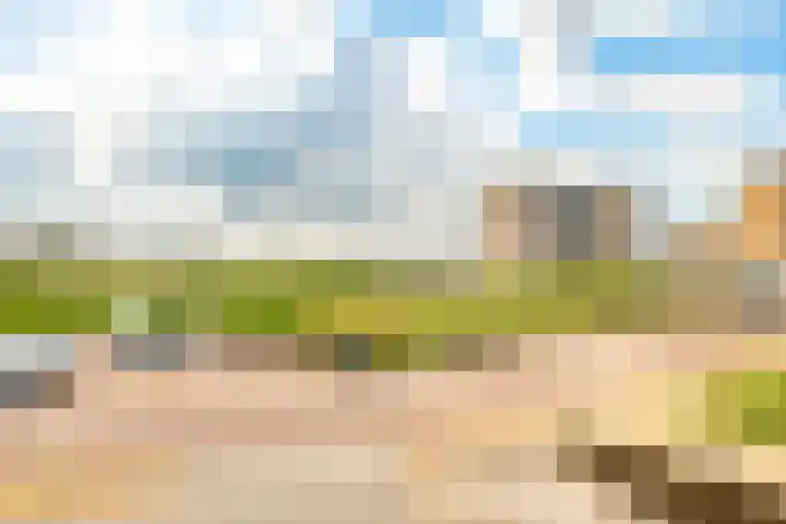 Tjerk Hiddesstraat 111 Zandvoort thumbnail 36