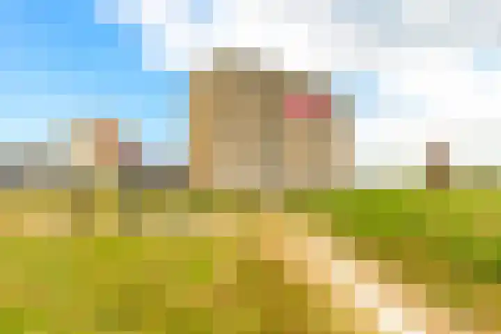 Tjerk Hiddesstraat 111 Zandvoort thumbnail 37