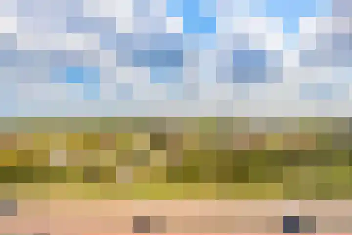 Tjerk Hiddesstraat 111 Zandvoort thumbnail 6