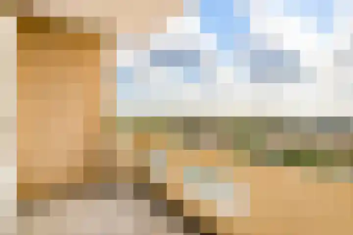 Tjerk Hiddesstraat 111 Zandvoort thumbnail 7