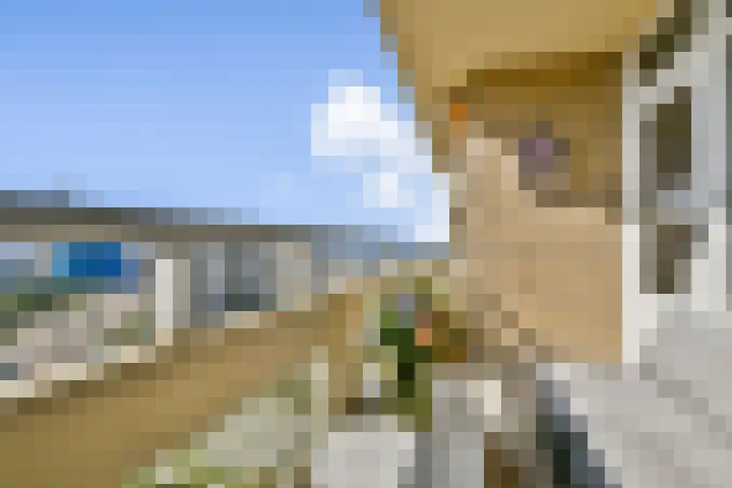 Tjerk Hiddesstraat 125 Zandvoort thumbnail 14