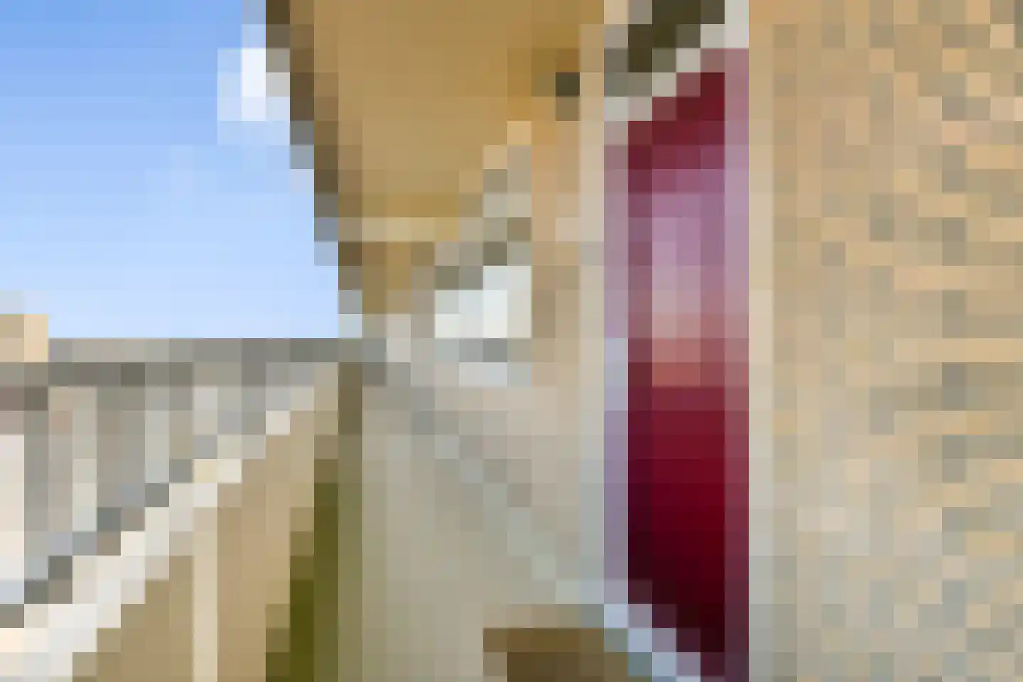 Tjerk Hiddesstraat 125 Zandvoort thumbnail 18