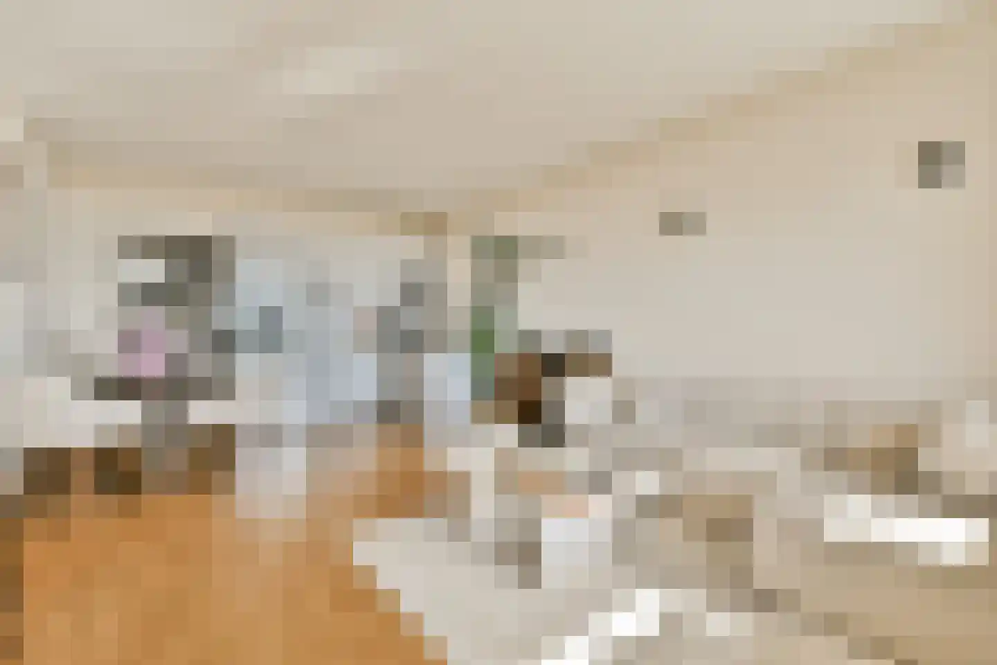 Tjerk Hiddesstraat 125 Zandvoort thumbnail 7