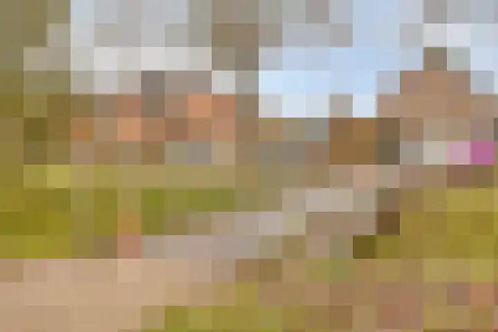 Tjerk Hiddesstraat 13 Zutphen thumbnail 34