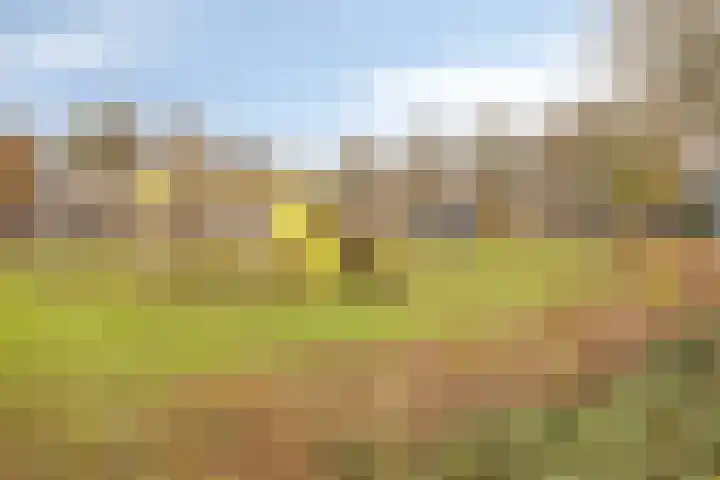 Tjerk Hiddesstraat 13 Zutphen thumbnail 35