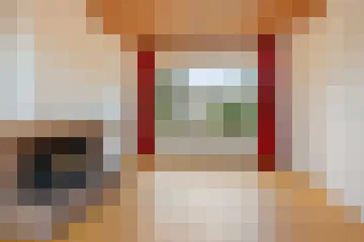 Tjerk Hiddesstraat 13 Zutphen thumbnail 7