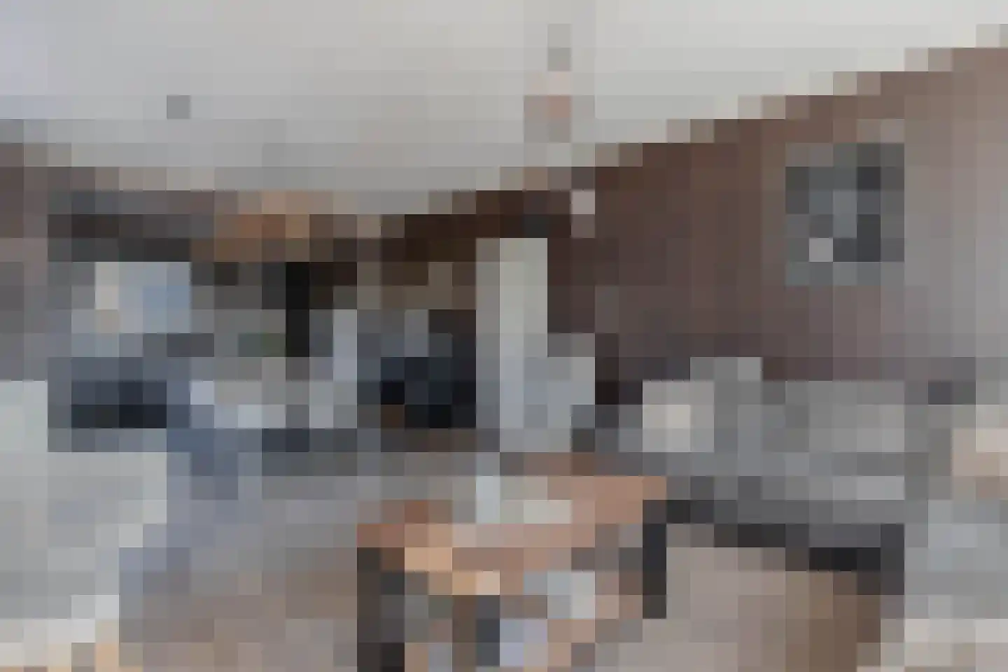 Tjerk Hiddesstraat 18 Wolvega thumbnail 10