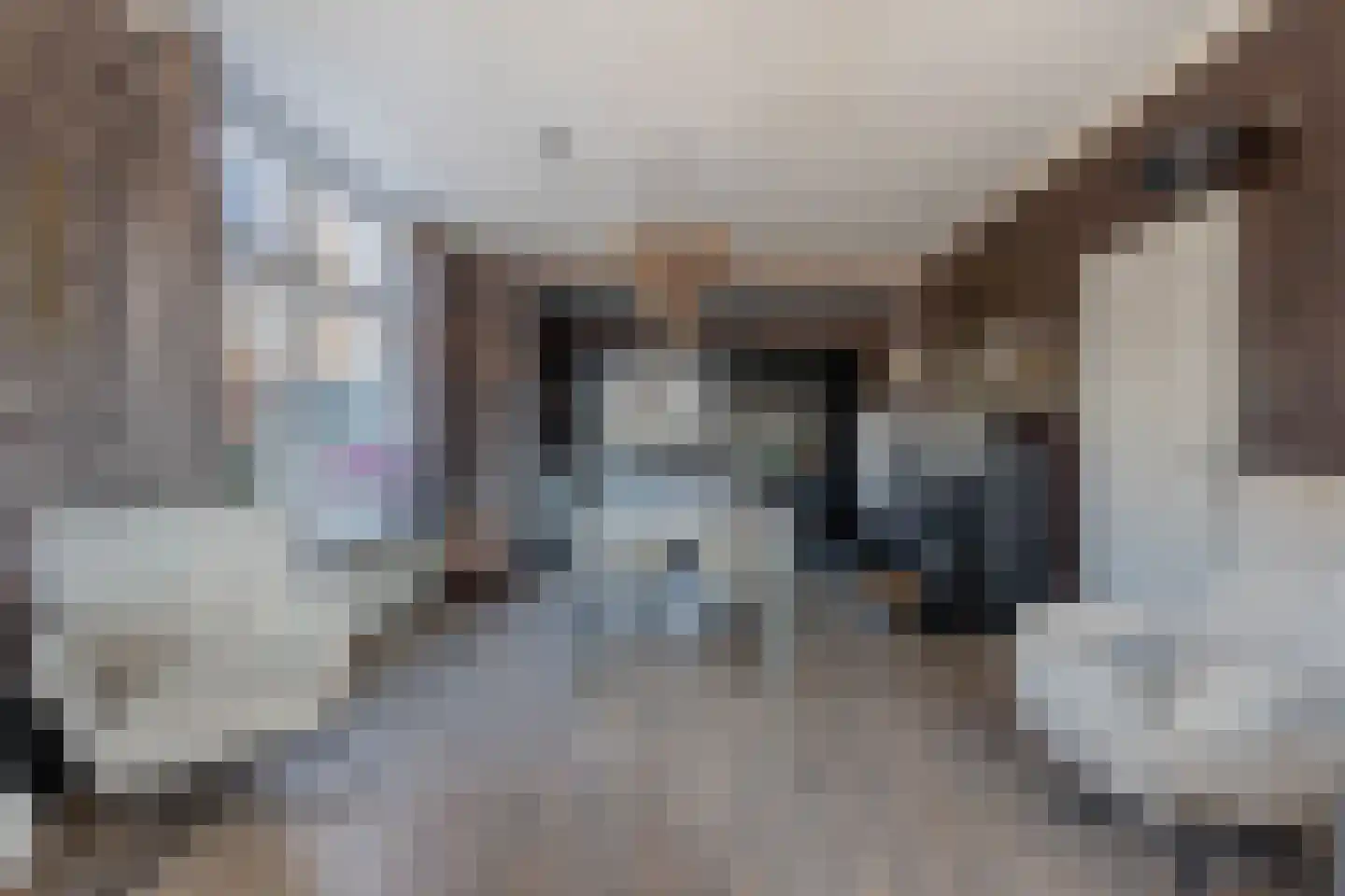 Tjerk Hiddesstraat 18 Wolvega thumbnail 12