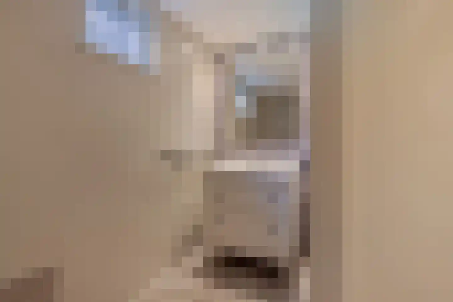 Tjerk Hiddesstraat 18 Wolvega thumbnail 20