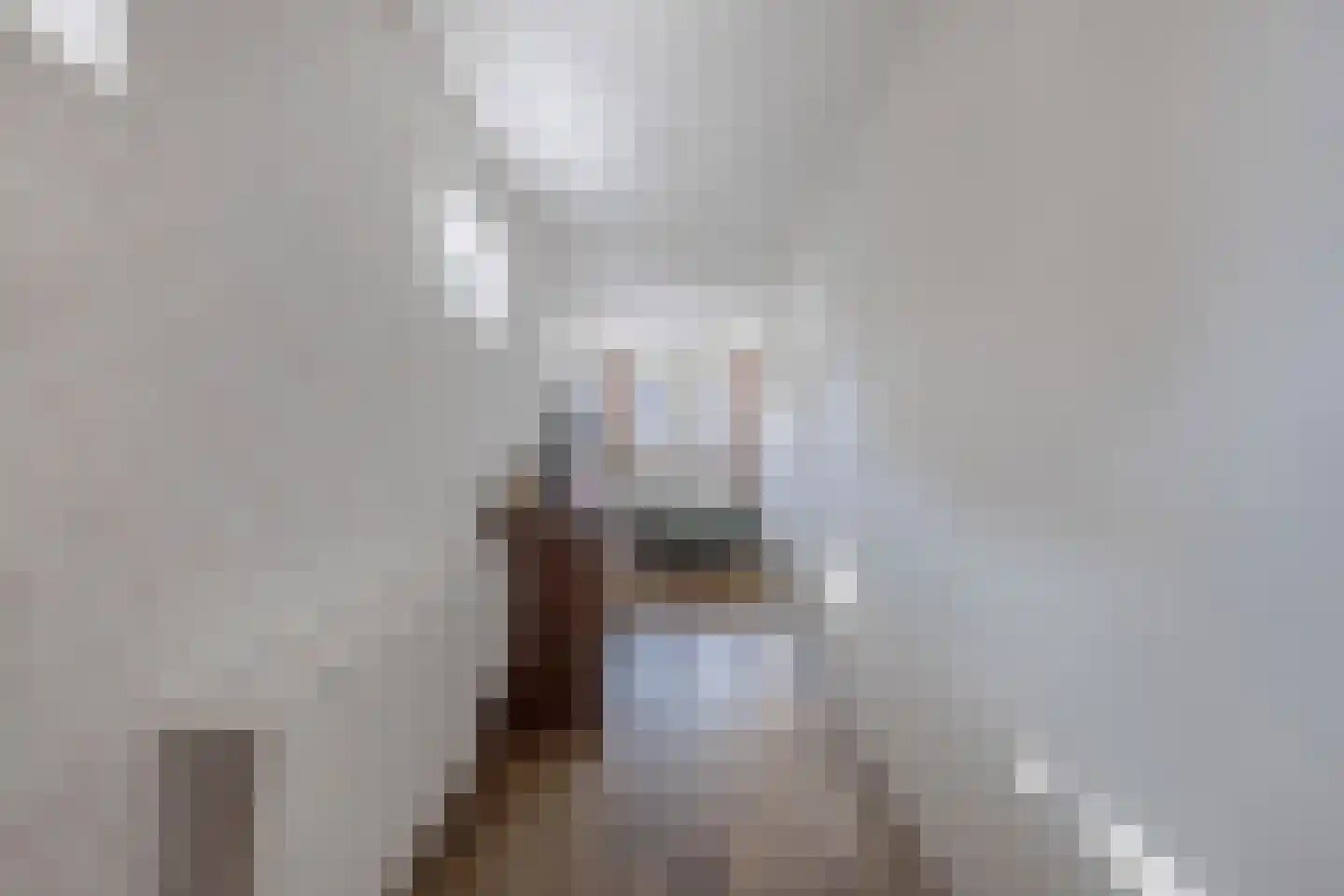 Tjerk Hiddesstraat 18 Wolvega thumbnail 24