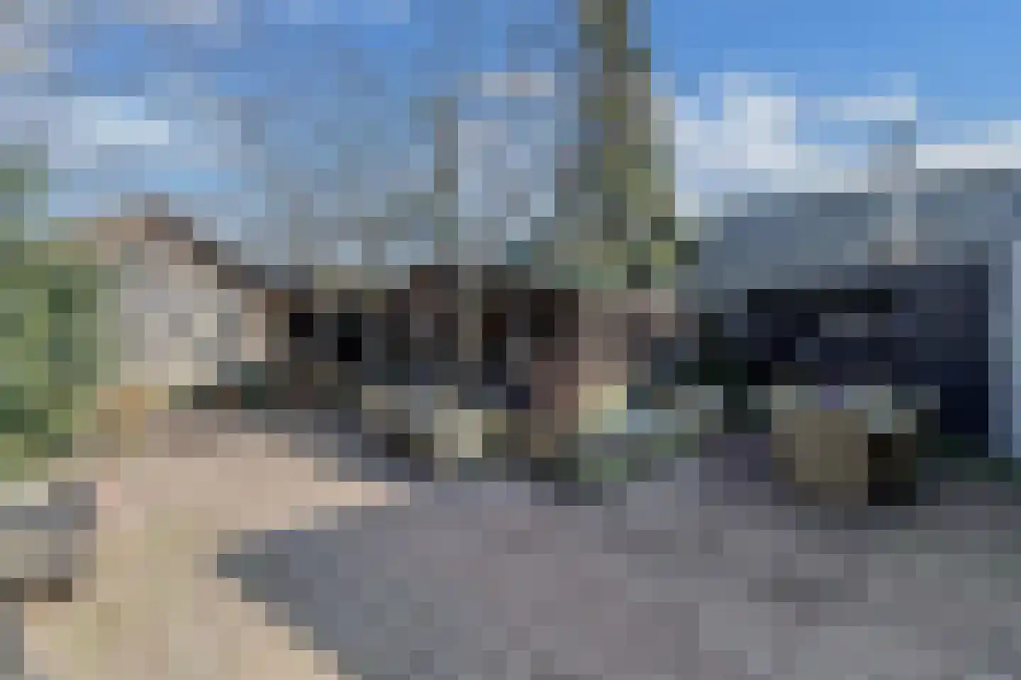 Tjerk Hiddesstraat 18 Wolvega thumbnail 36