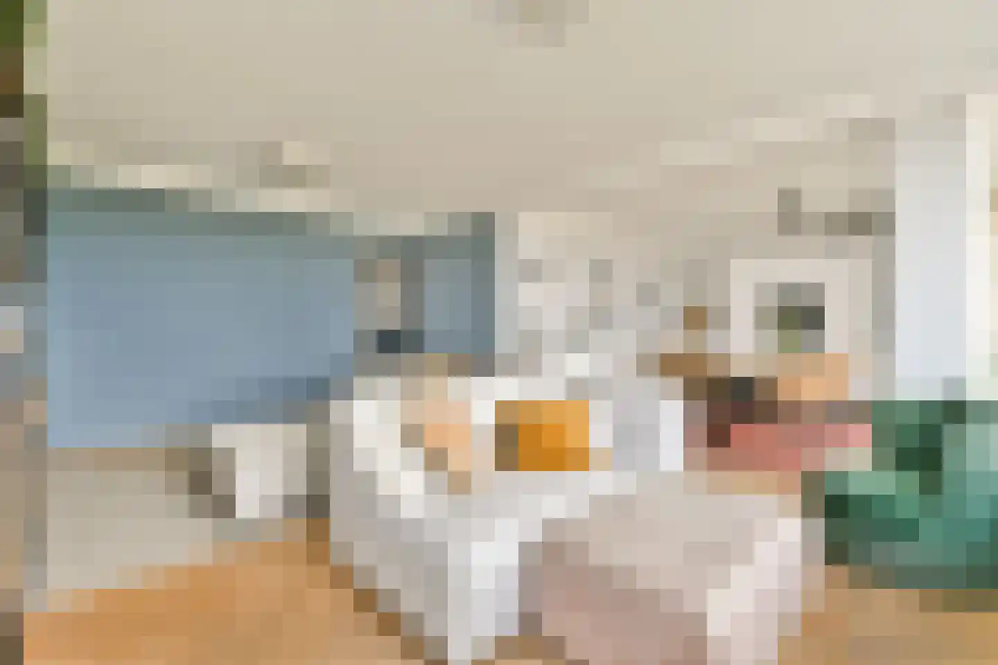 Tjerk Hiddesstraat 2 F 2 Zandvoort thumbnail 10
