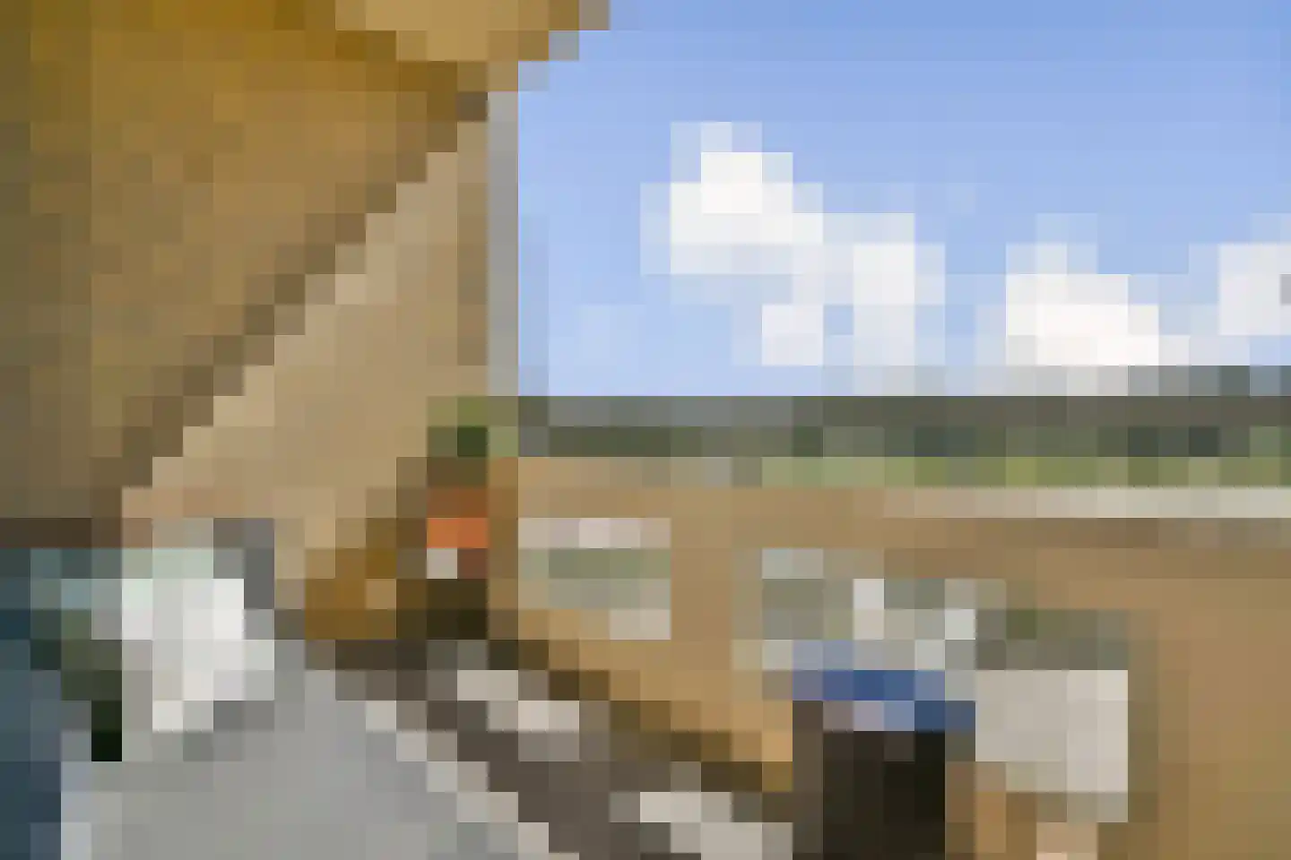 Tjerk Hiddesstraat 23 Zandvoort thumbnail 13