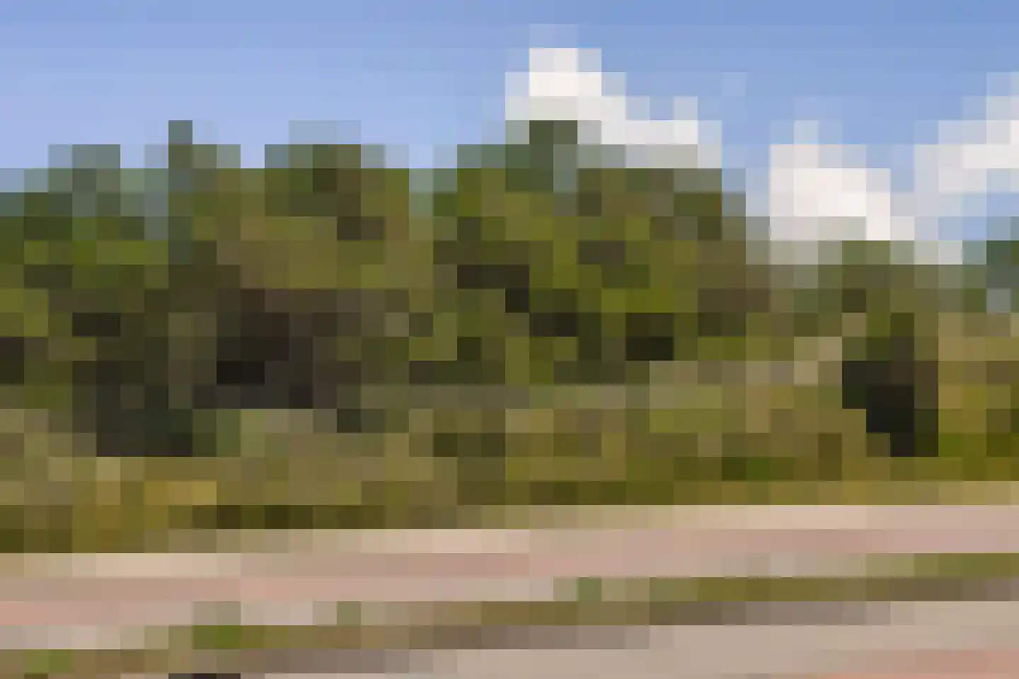 Tjerk Hiddesstraat 23 Zandvoort thumbnail 14