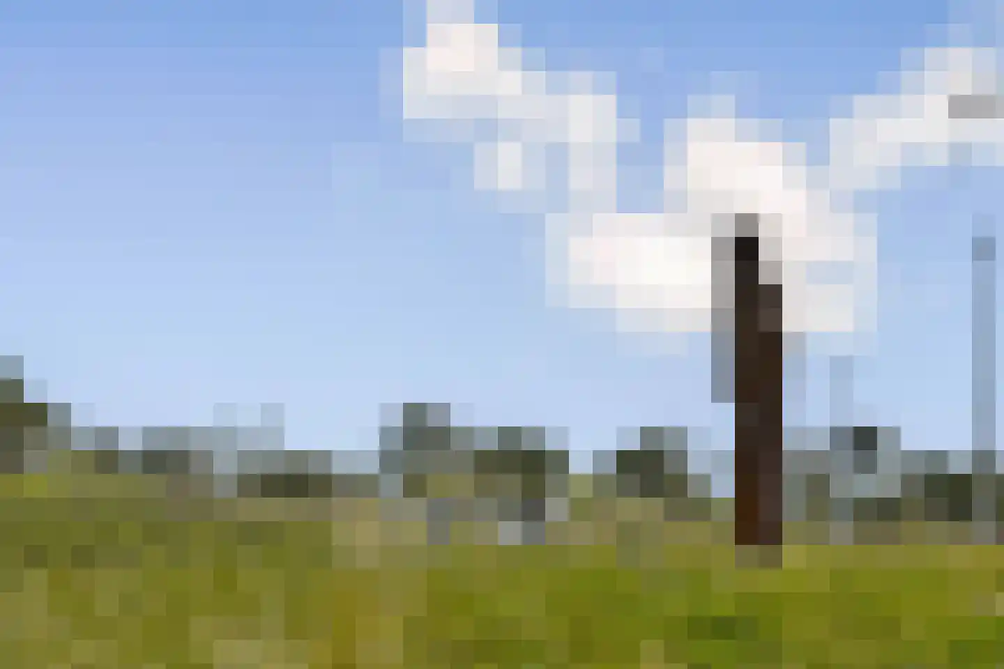 Tjerk Hiddesstraat 23 Zandvoort thumbnail 19