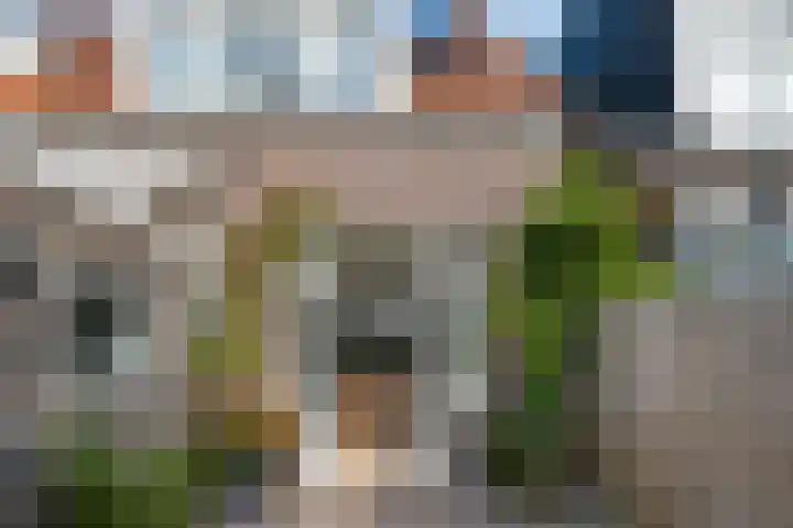 Tjerk Hiddesstraat 26 b Leeuwarden thumbnail 48