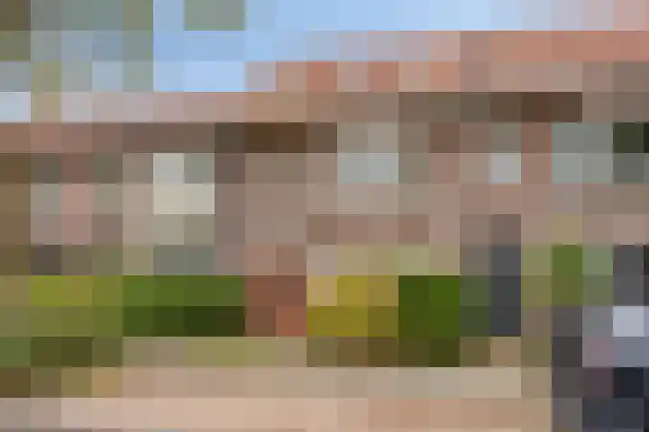 Tjerk Hiddesstraat 26 Leeuwarden thumbnail 5
