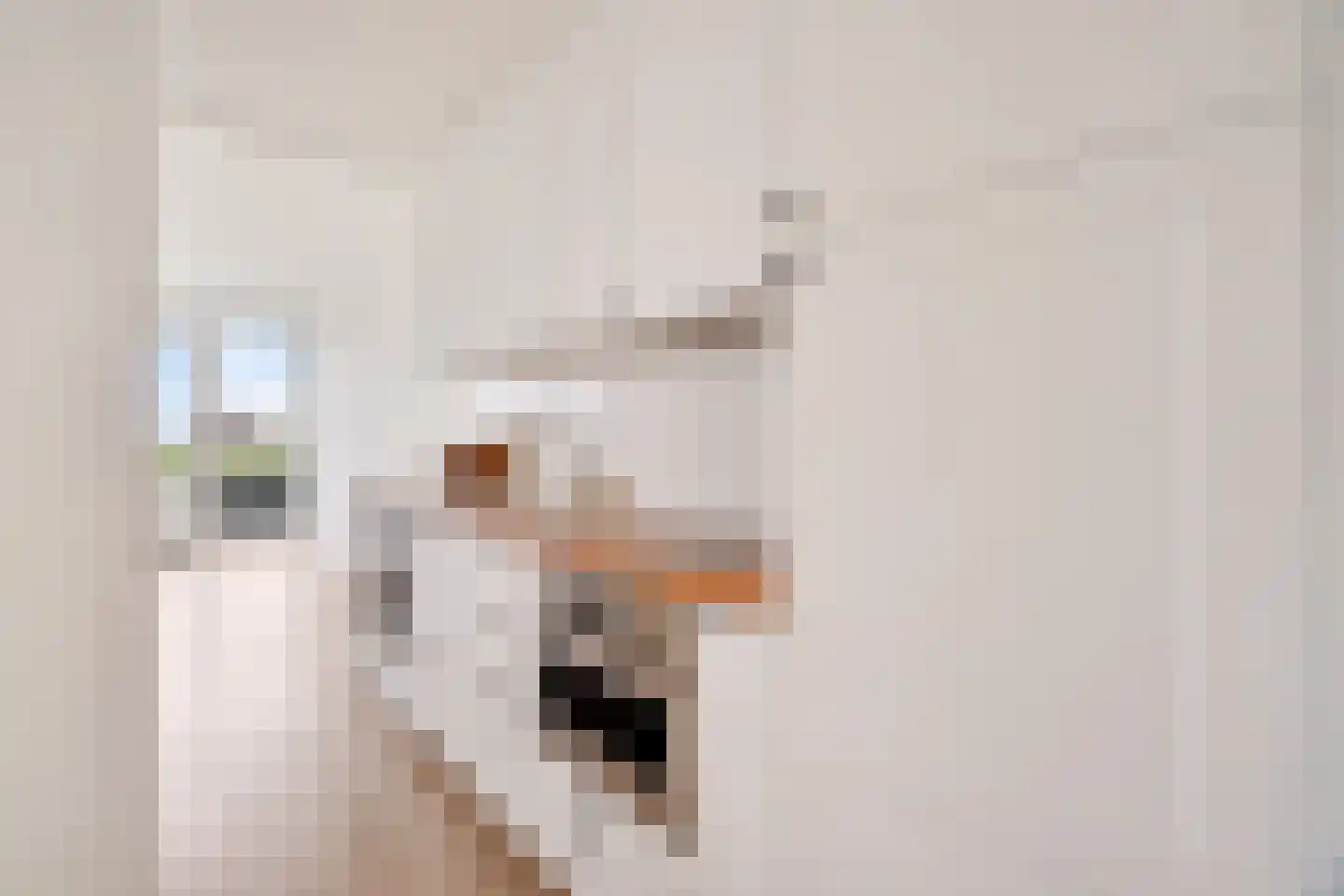Tjerk Hiddesstraat 26 Zandvoort thumbnail 10