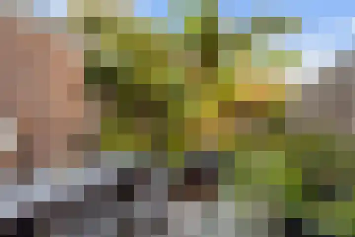 Tjerk Hiddesstraat 3 Leeuwarden thumbnail 17