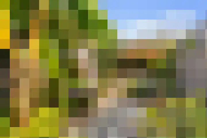 Tjerk Hiddesstraat 3 Leeuwarden thumbnail 18