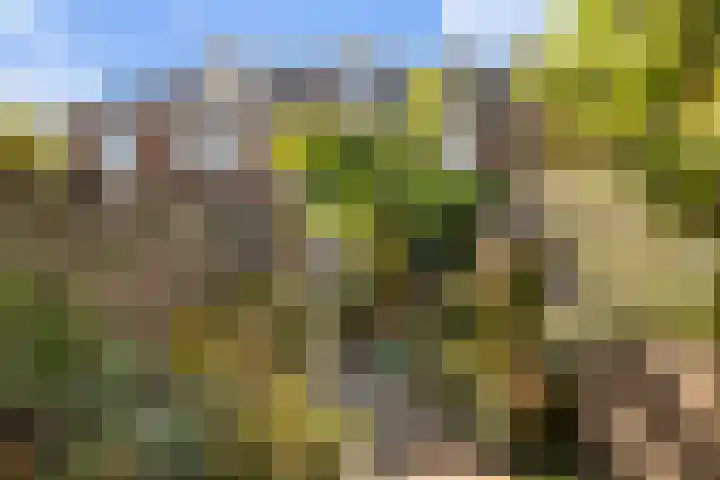 Tjerk Hiddesstraat 3 Leeuwarden thumbnail 21