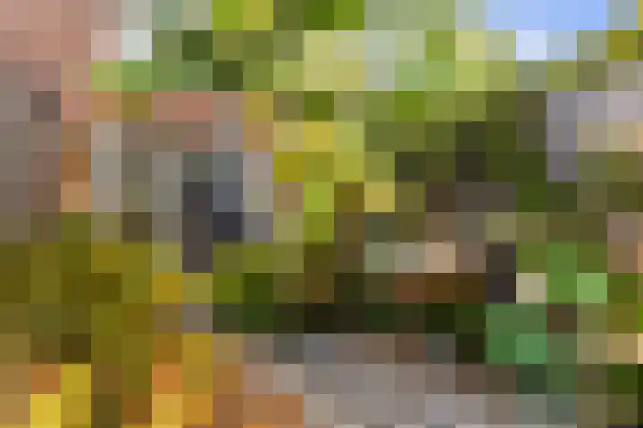 Tjerk Hiddesstraat 3 Leeuwarden thumbnail 22