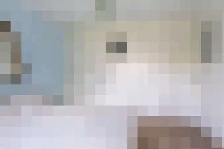 Tjerk Hiddesstraat 3 Leeuwarden thumbnail 29