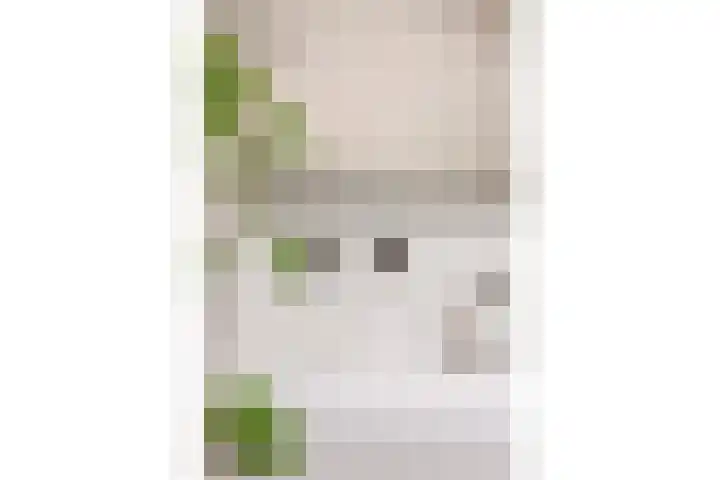 Tjerk Hiddesstraat 3 Leeuwarden thumbnail 31